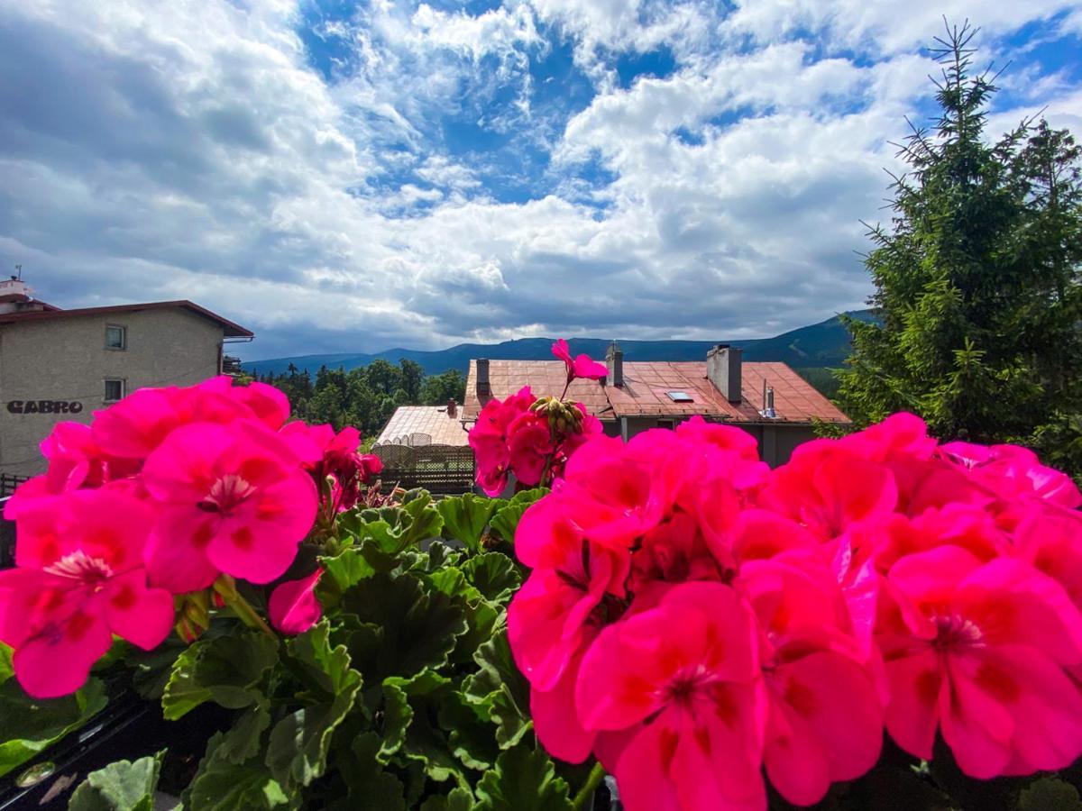 Bed and Breakfast Sonata Schreiberhau Exterior foto